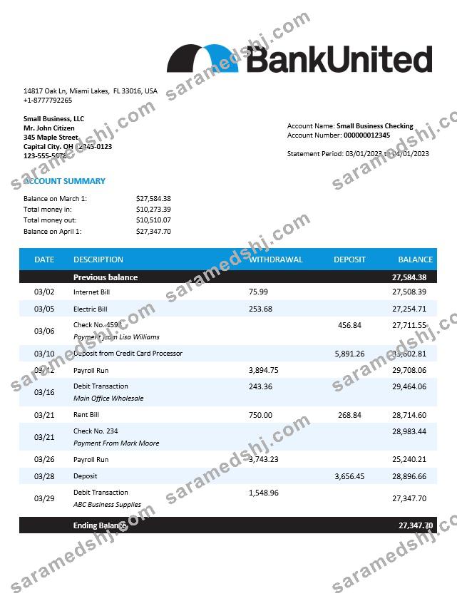 BankUnited enterprise account statement Word and PDF template